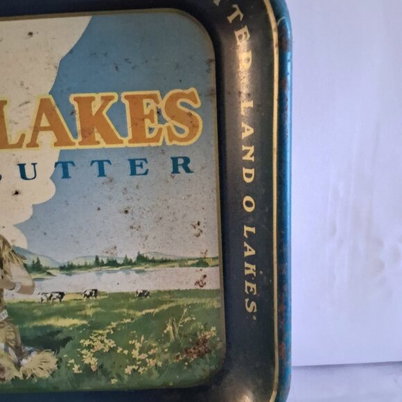 Vintage Land O'Lakes Sweet Cream Butter Metal Tray - Picture 4 of 10